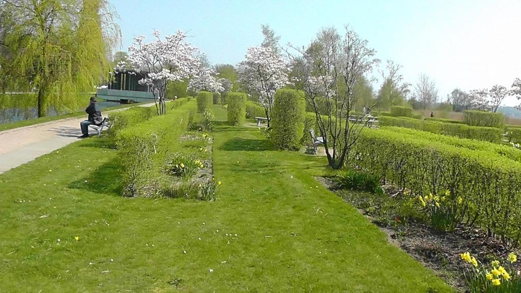 Domhotel Bed & Breakfast 슐레스비히 외부 사진